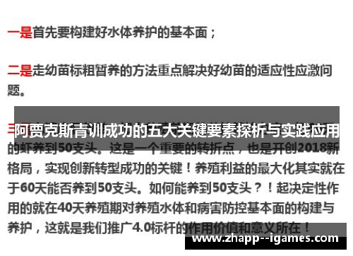 阿贾克斯青训成功的五大关键要素探析与实践应用