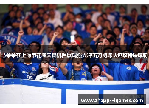马莱莱在上海申花屡失良机但展现强大冲击力助球队进攻持续威胁